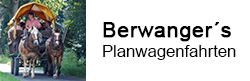 logo-Berwanger